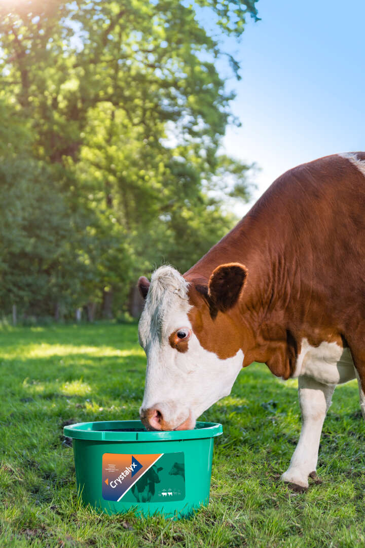 CRYSTALYX Nutri Complete (Grün)